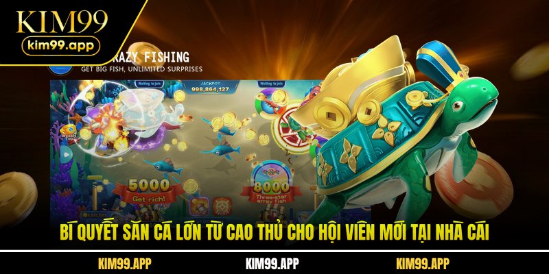 Bí quyết săn cá lớn từ cao thủ cho hội viên mới tại nhà cái Bí quyết săn cá lớn từ cao thủ cho hội viên mới tại nhà cái
