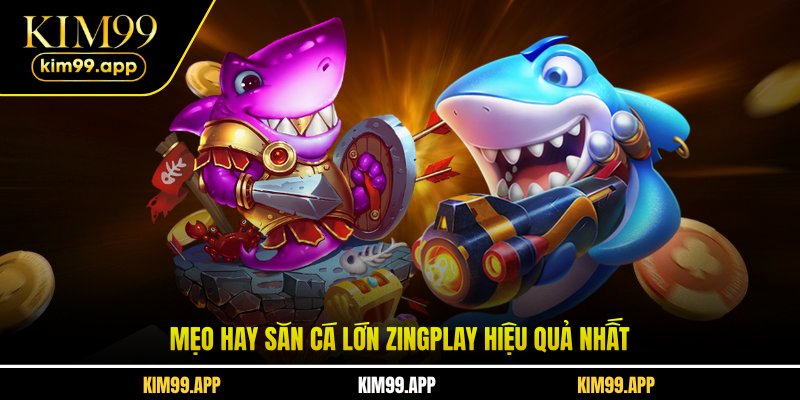 Mẹo hay săn cá lớn Zingplay hiệu quả nhất