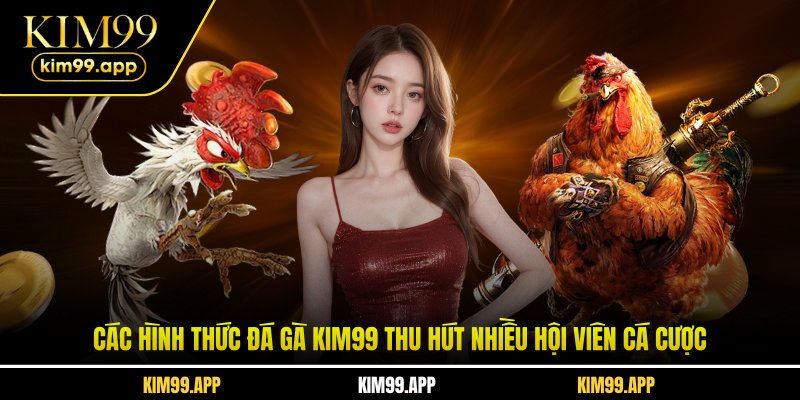 Các hình thức đá gà KIM99 thu hút nhiều hội viên cá cược Các hình thức đá gà KIM99 thu hút nhiều hội viên cá cược