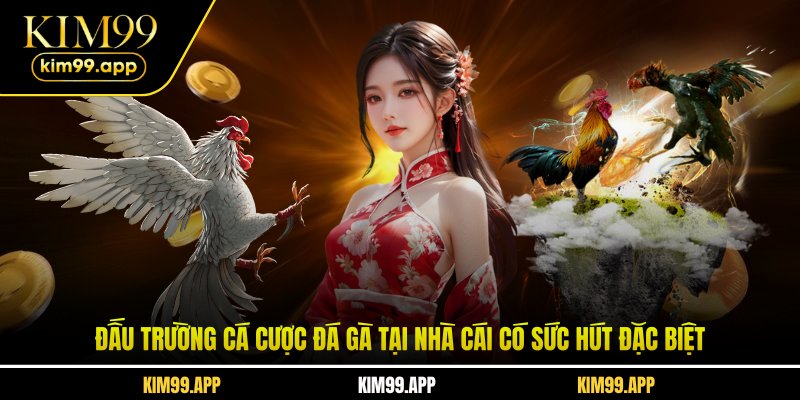 Đấu trường cá cược đá gà tại nhà cái có sức hút đặc biệt Đấu trường cá cược đá gà tại nhà cái có sức hút đặc biệt