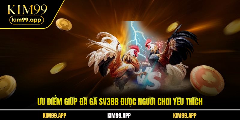 Ưu điểm giúp đá gà SV388 được người chơi yêu thích Ưu điểm giúp đá gà SV388 được người chơi yêu thích