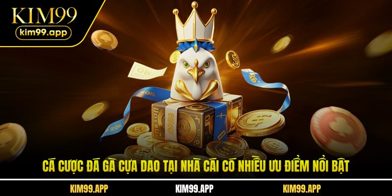 Cá cược đá gà cựa dao tại nhà cái có nhiều ưu điểm nổi bật Cá cược đá gà cựa dao tại nhà cái có nhiều ưu điểm nổi bật