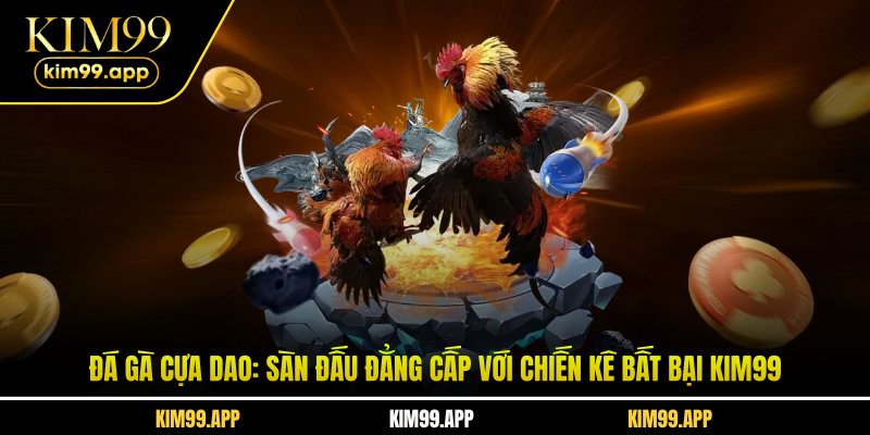 Đá gà cựa dao