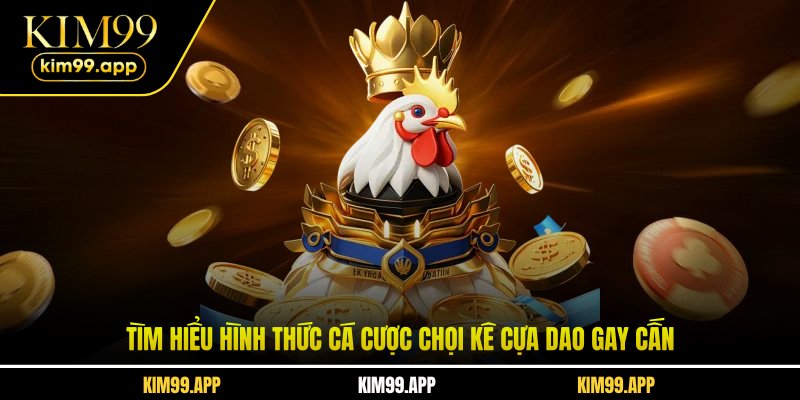 Tìm hiểu hình thức cá cược chọi kê cựa dao gay cấn Tìm hiểu hình thức cá cược chọi kê cựa dao gay cấn