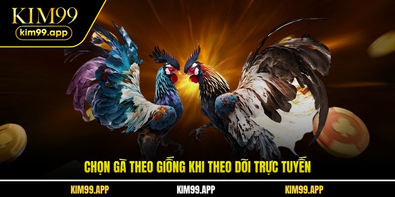 Chọn gà theo giống khi theo dõi trực tuyến