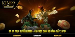 Đá Gà Trực Tuyến
