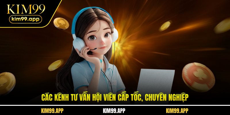 Các kênh tư vấn hội viên cấp tốc, chuyên nghiệp Các kênh tư vấn hội viên cấp tốc, chuyên nghiệp