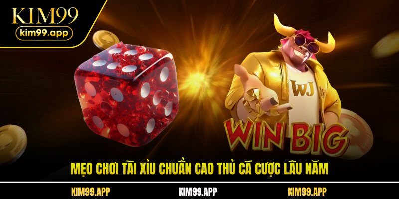 Mẹo chơi tài xỉu chuẩn cao thủ cá cược lâu năm